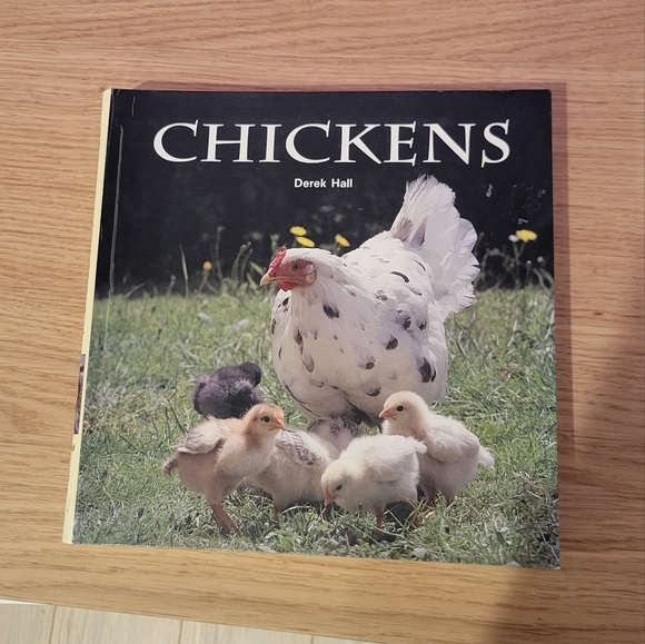 Chickens by Derek Hall - Picture 1 of 2
